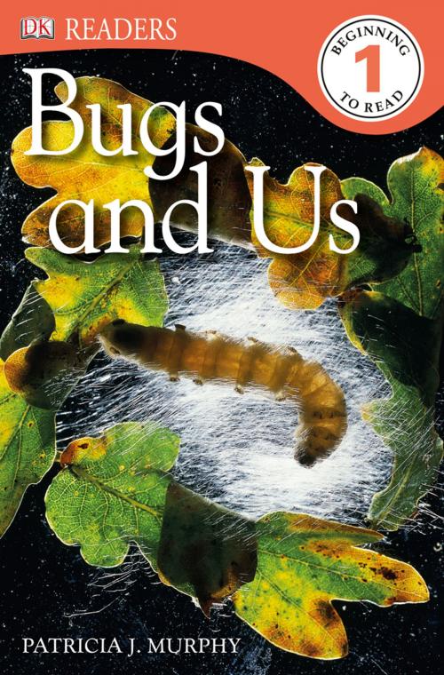 Cover of the book DK Readers L1: Bugs and Us by Patricia J. Murphy, DK Publishing