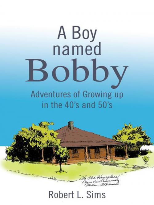 Cover of the book A Boy Named Bobby by Robert L. Sims, Trafford Publishing