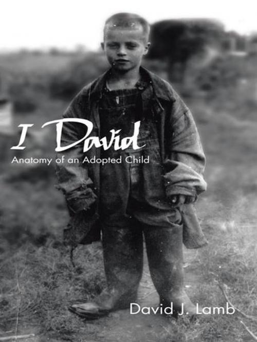 Cover of the book I David by David J. Lamb, Trafford Publishing