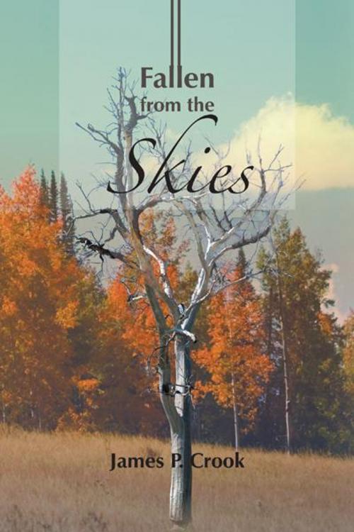 Cover of the book Fallen from the Skies by James P. Crook, Trafford Publishing