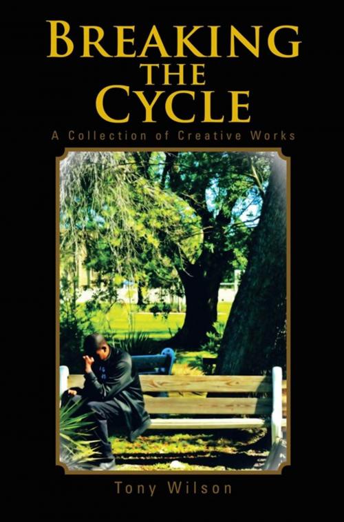 Cover of the book Breaking the Cycle by Tony Wilson, AuthorHouse