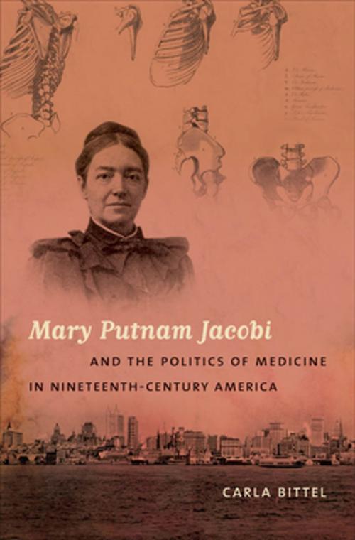 Cover of the book Mary Putnam Jacobi and the Politics of Medicine in Nineteenth-Century America by Carla Bittel, The University of North Carolina Press