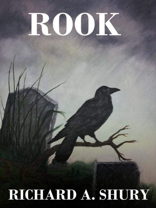 Cover of the book Rook by Richard Shury, Richard Shury