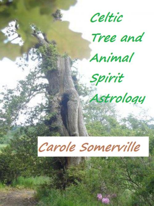 Cover of the book Celtic Tree and Animal Spirit Astrology by Carole Somerville, Carole Somerville