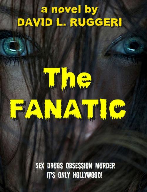 Cover of the book The Fanatic by David Ruggeri, David Ruggeri
