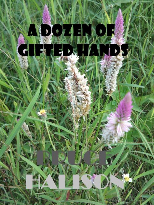 Cover of the book A Dozen of Gifted Hands by Bruce Halison, Bruce Halison