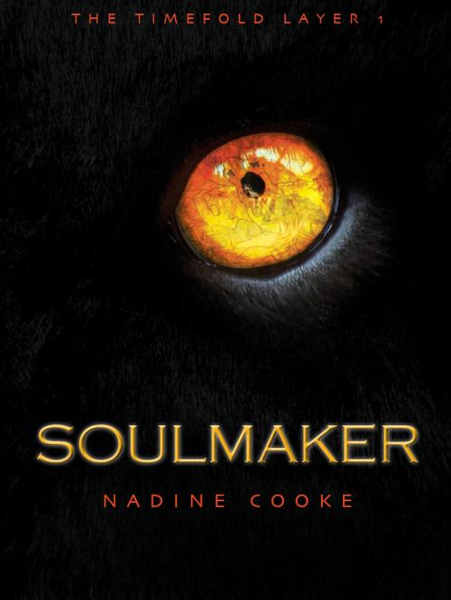 Cover of the book Soulmaker by Nadine Cooke, Nadine Cooke