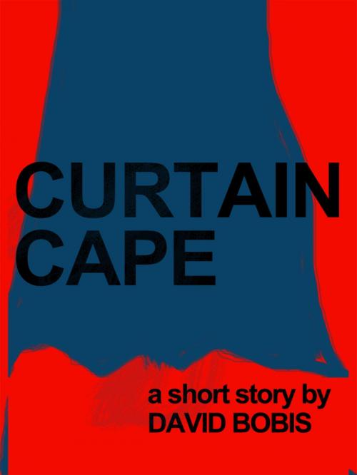 Cover of the book Curtain Cape by David Bobis, David Bobis