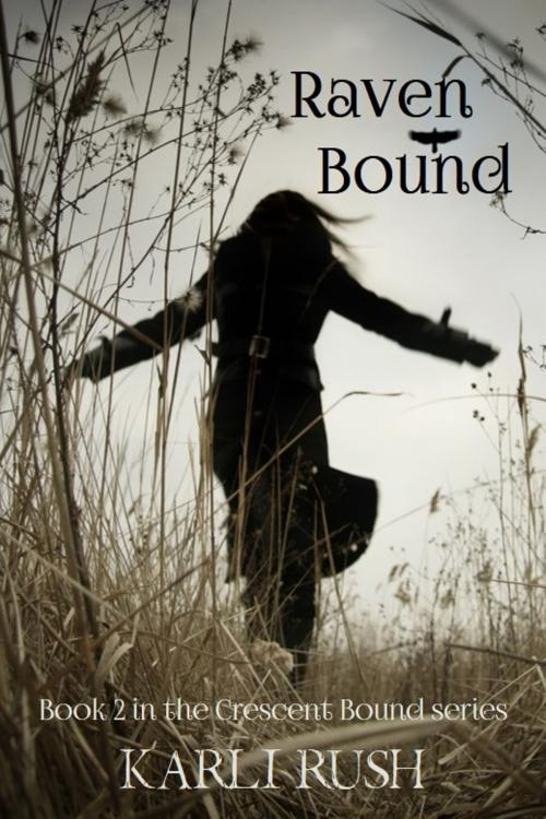 Cover of the book Raven Bound by Karli Rush, Karli Rush