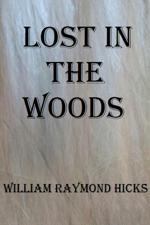 Cover of the book Lost in the Woods by William R. Hicks, William R. Hicks