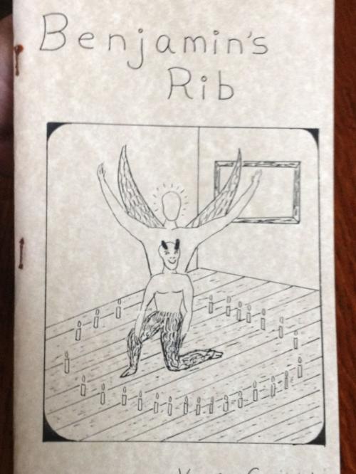 Cover of the book BENJAMIN'S RIB by Kevin Coughlin, Kevin Coughlin