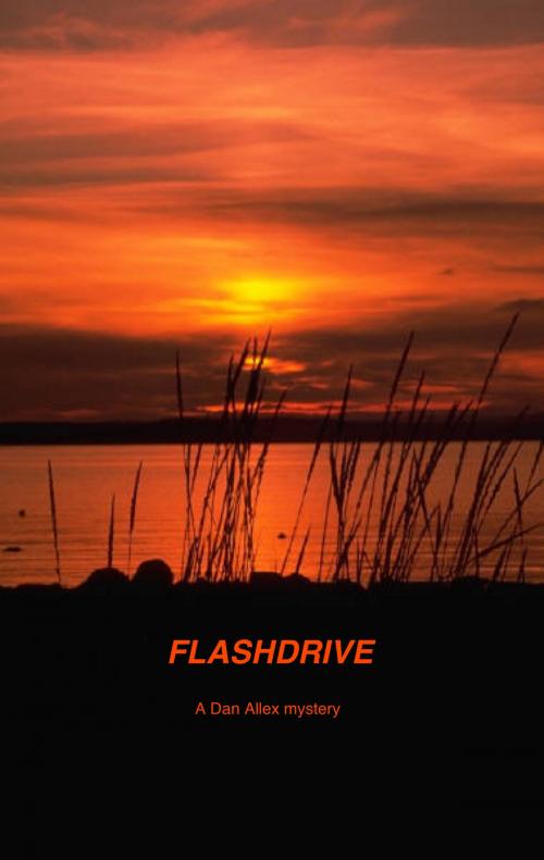 Cover of the book Flashdrive by Dan Allex, Dan Allex