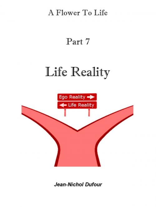 Cover of the book Life Reality by Jean-Nichol Dufour, Jean-Nichol Dufour