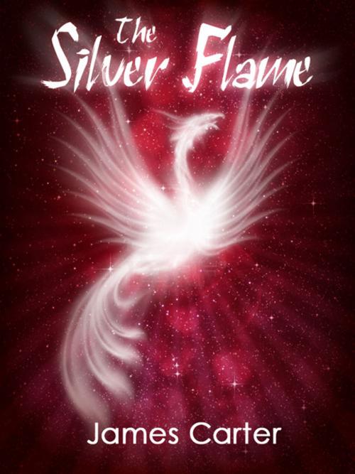 Cover of the book The Silver Flame by James Carter, James Carter