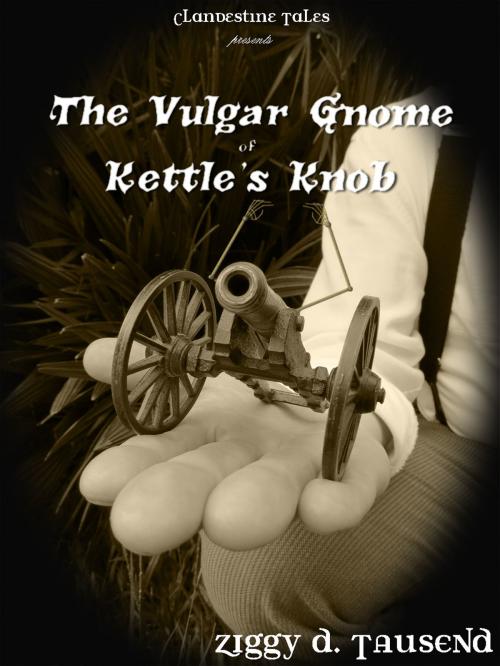 Cover of the book The Vulgar Gnome of Kettle's Knob by Ziggy Tausend, Ziggy Tausend