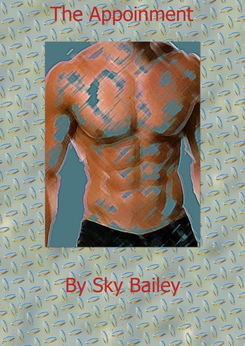 Cover of the book The Appointment by Sky Bailey, Sky Bailey
