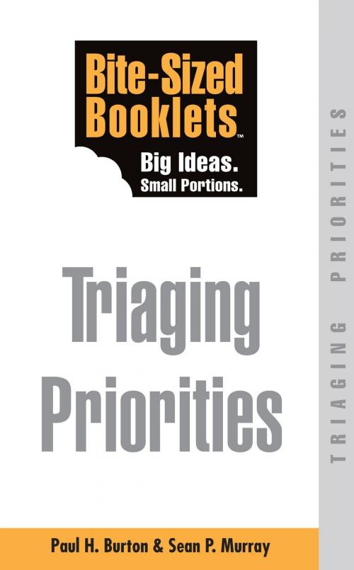 Cover of the book Triaging Priorities: Bite-Sized Booklets by Paul Burton, Paul Burton