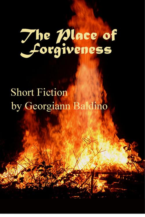 Cover of the book The Place of Forgiveness by Georgiann Baldino, Georgiann Baldino