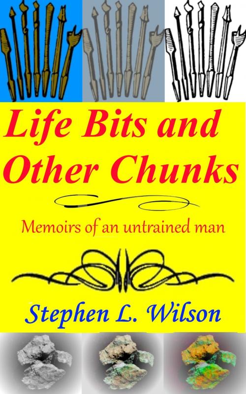 Cover of the book Life Bits and Other Chunks: Memoirs of an Untrained Man by Stephen L. Wilson, Stephen L. Wilson