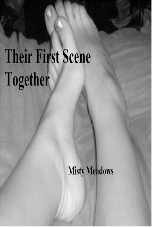 Cover of the book Their First Scene Together by Misty Meadows, Misty Meadows