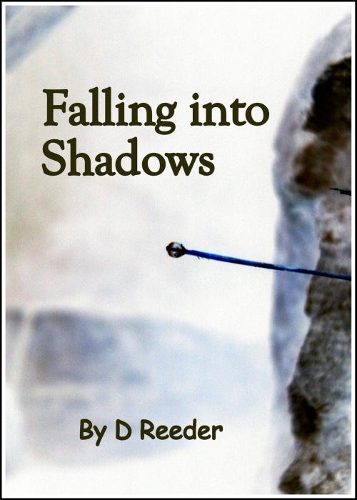 Cover of the book Falling into Shadows by D Reeder, D Reeder
