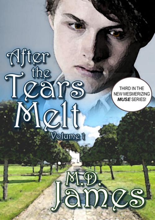Cover of the book After the Tears Melt - Vol. 1 (The Muse Series #3) by M.D. James, Porterlance Books