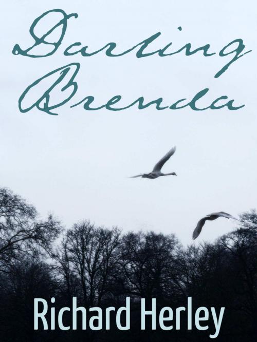Cover of the book Darling Brenda by Richard Herley, Richard Herley