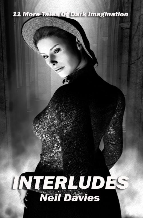 Cover of the book Interludes by Neil Davies, C&N Publications