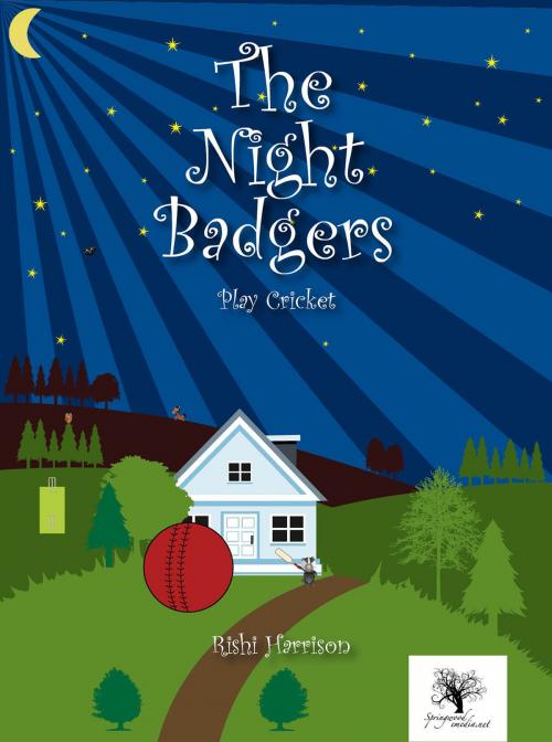 Cover of the book The Night Badgers - Play Cricket (2-6 Year Olds) by Rishi Harrison, Springwood Emedia