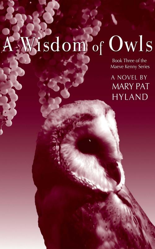 Cover of the book A Wisdom of Owls by Mary Pat Hyland, Mary Pat Hyland