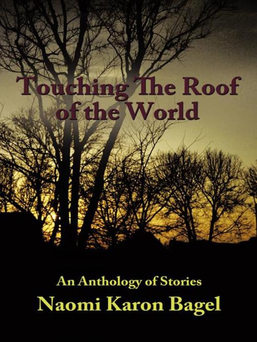 Cover of the book Touching the Roof of the World by Naomi Karon Bagel, AuthorHouse UK