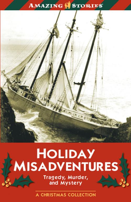 Cover of the book Holiday Misadventures by Johanna Bertin, James Lorimer & Company Ltd., Publishers
