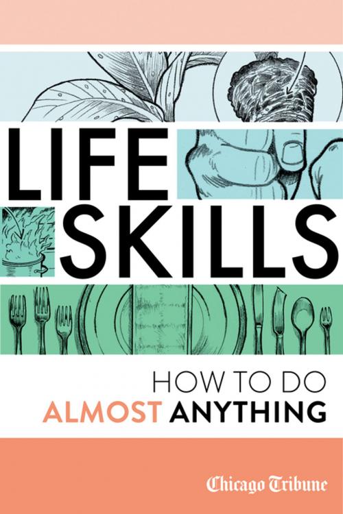 Cover of the book Life Skills by , Agate Digital