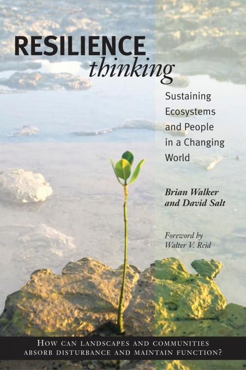 Cover of the book Resilience Thinking by Brian Walker, David Salt, Island Press