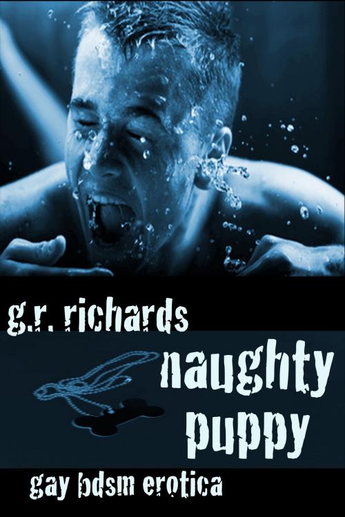 Cover of the book Naughty Puppy: Gay BDSM Erotica by G.R. Richards, eXcessica Publishing