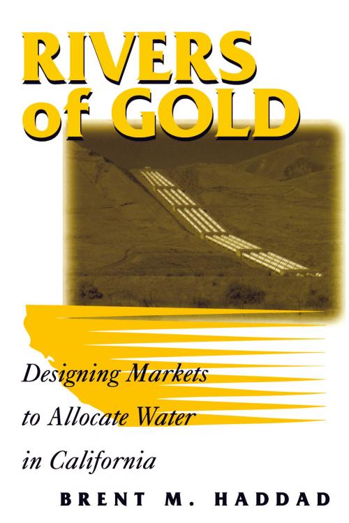 Cover of the book Rivers of Gold by BrM. Haddad, Island Press
