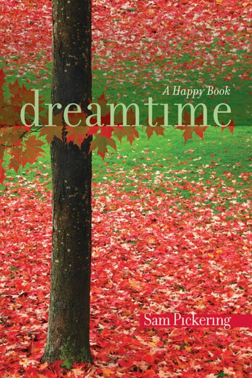 Cover of the book Dreamtime by Sam Pickering, University of South Carolina Press