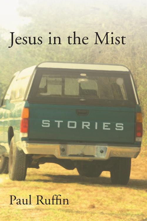 Cover of the book Jesus in the Mist by Paul Ruffin, University of South Carolina Press