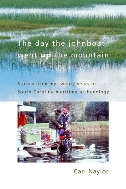 Cover of the book The Day the Johnboat Went up the Mountain by John Naylor, University of South Carolina Press