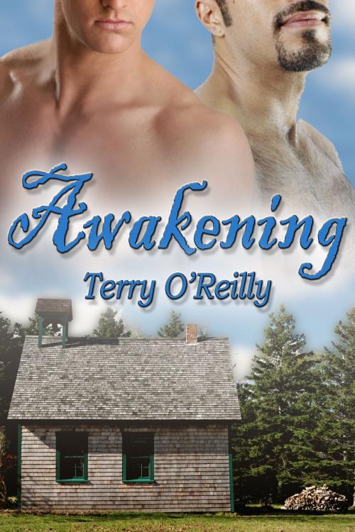 Cover of the book Awakening by Terry O'Reilly, JMS Books LLC