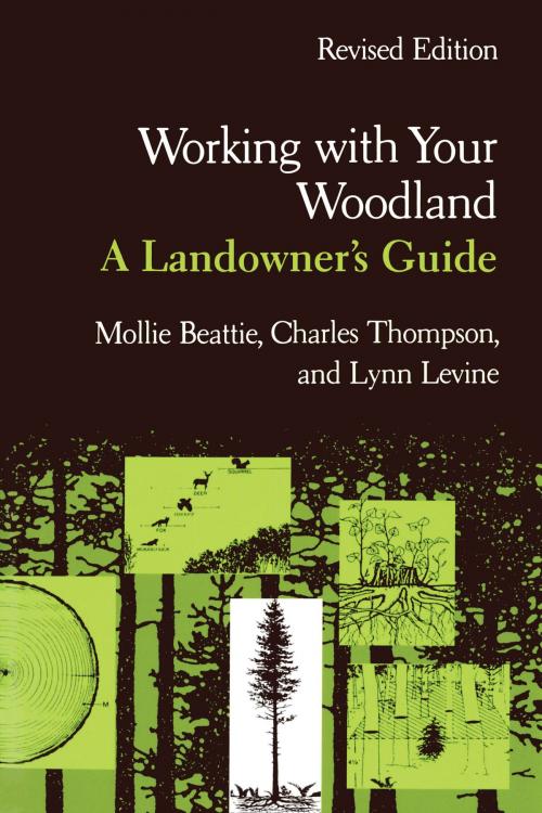 Cover of the book Working with Your Woodland by Mollie Beattie, Charles Thompson, Lynn Levine, University Press of New England