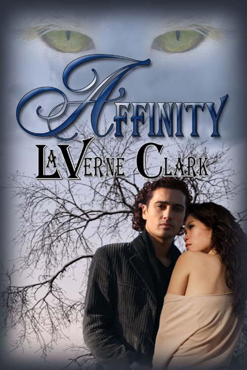 Cover of the book Affinity by LaVerne  Clark, The Wild Rose Press, Inc.