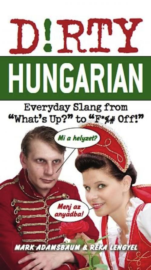 Cover of the book Dirty Hungarian by Mark Adamsbaum, Réka Lengyel, Ulysses Press