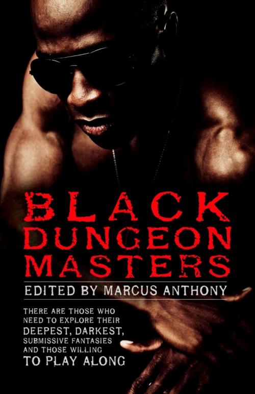Cover of the book Black Dungeon Masters by Marcus Anthony, STARbooks Press