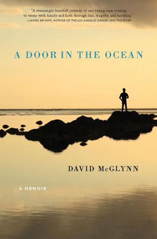 Cover of the book A Door in the Ocean by David McGlynn, Counterpoint Press