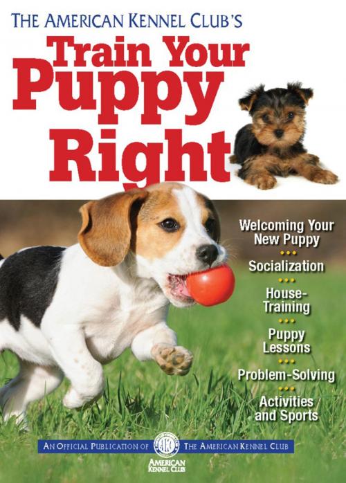 Cover of the book The American Kennel Club's Train Your Puppy Right by American Kennel Club, CompanionHouse Books