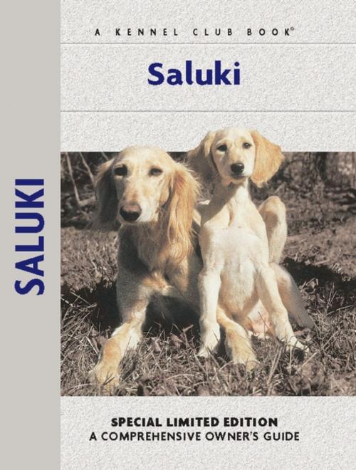 Cover of the book Saluki by Ann Chamberlain, CompanionHouse Books