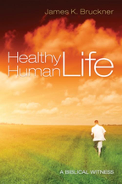 Cover of the book Healthy Human Life by James K. Bruckner, Wipf and Stock Publishers