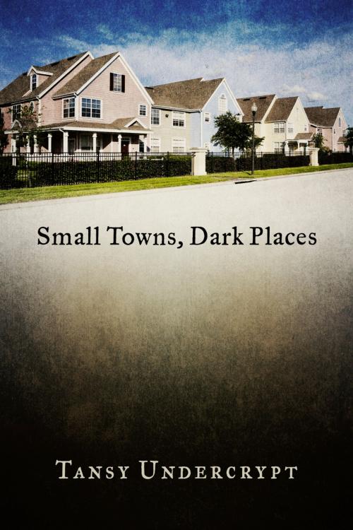 Cover of the book Small Towns, Dark Places by Tansy Undercrypt, BookBaby