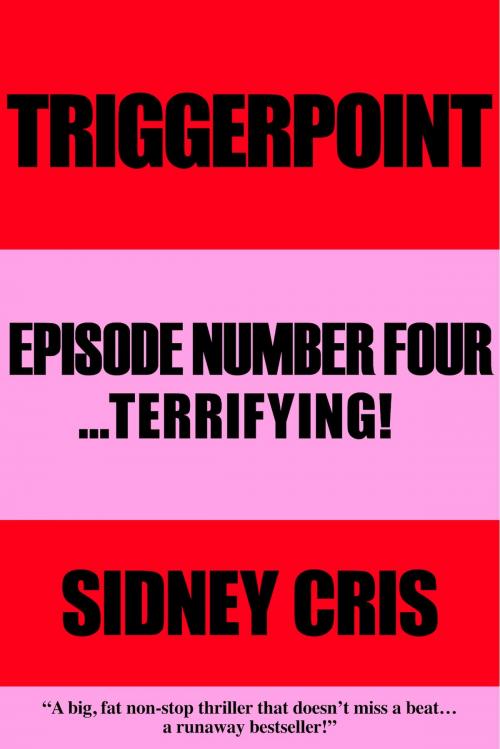 Cover of the book Triggerpoint: Episode Number Four... Terrifying! by Sidney Cris, BookBaby